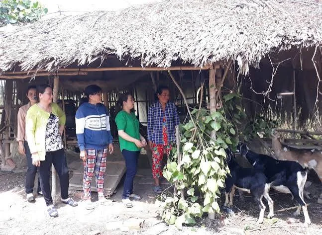 Mối liên hệ giữa đa dạng hóa sinh kế với tình trạng nghèo, cận nghèo của hộ gia đình Việt Nam: bằng chứng thực nghiệm từ VHLSS 2024