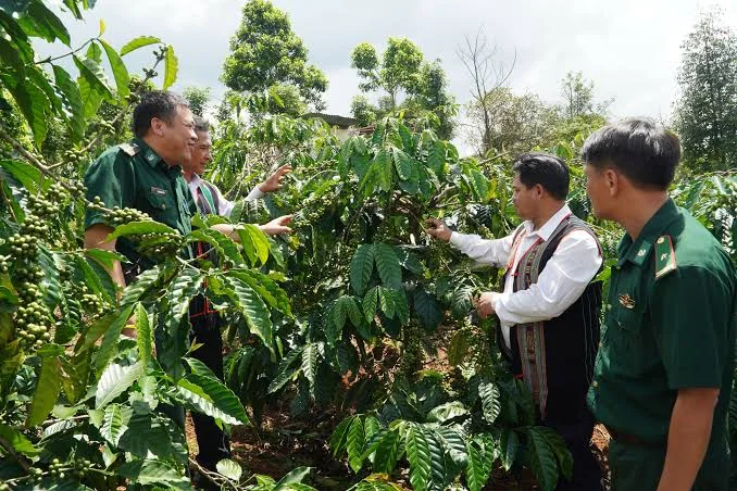 Nâng cao hiệu quả tiếp cận chính sách dân tộc của đồng bào dân tộc thiểu số tại tỉnh Lâm Đồng
